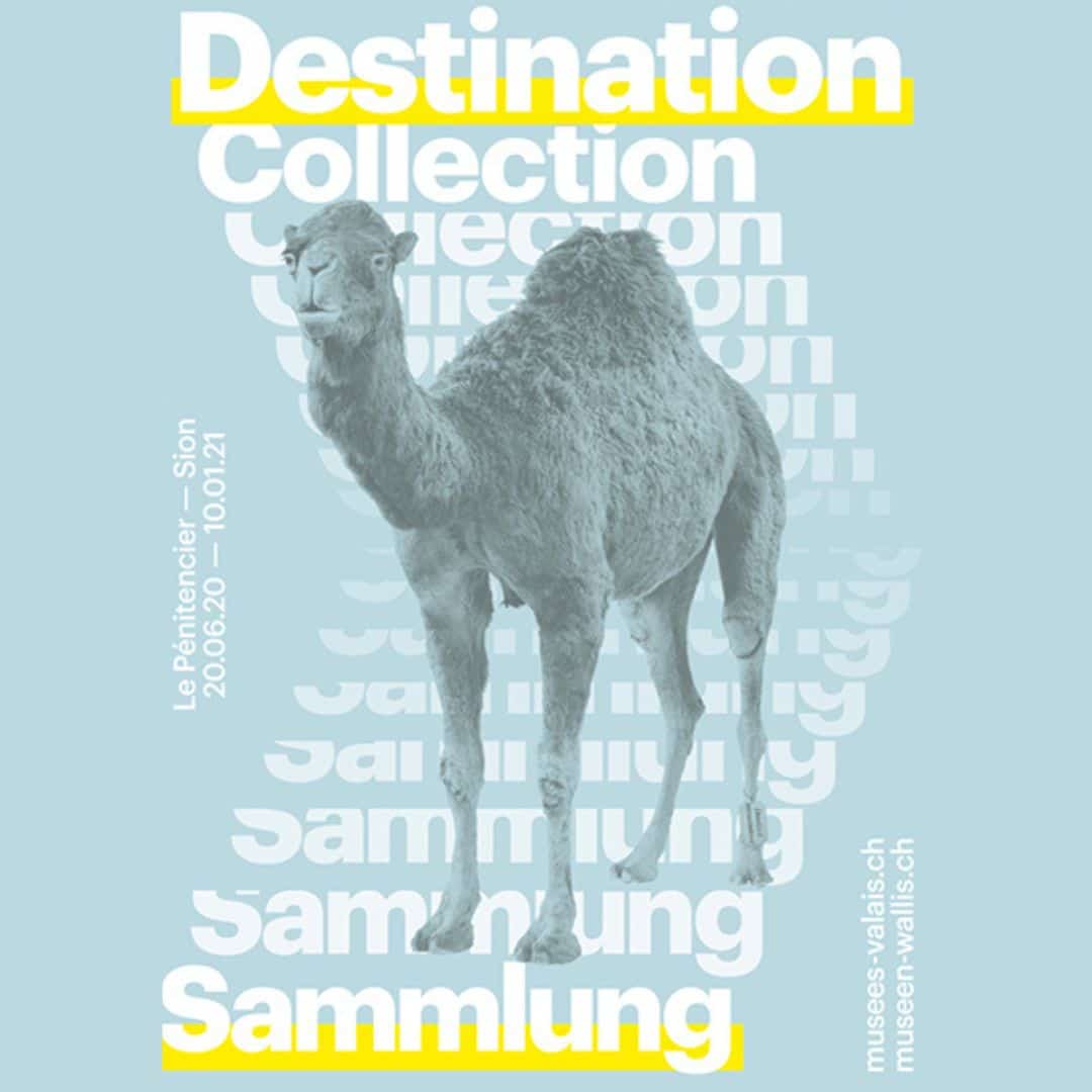 Destination collection