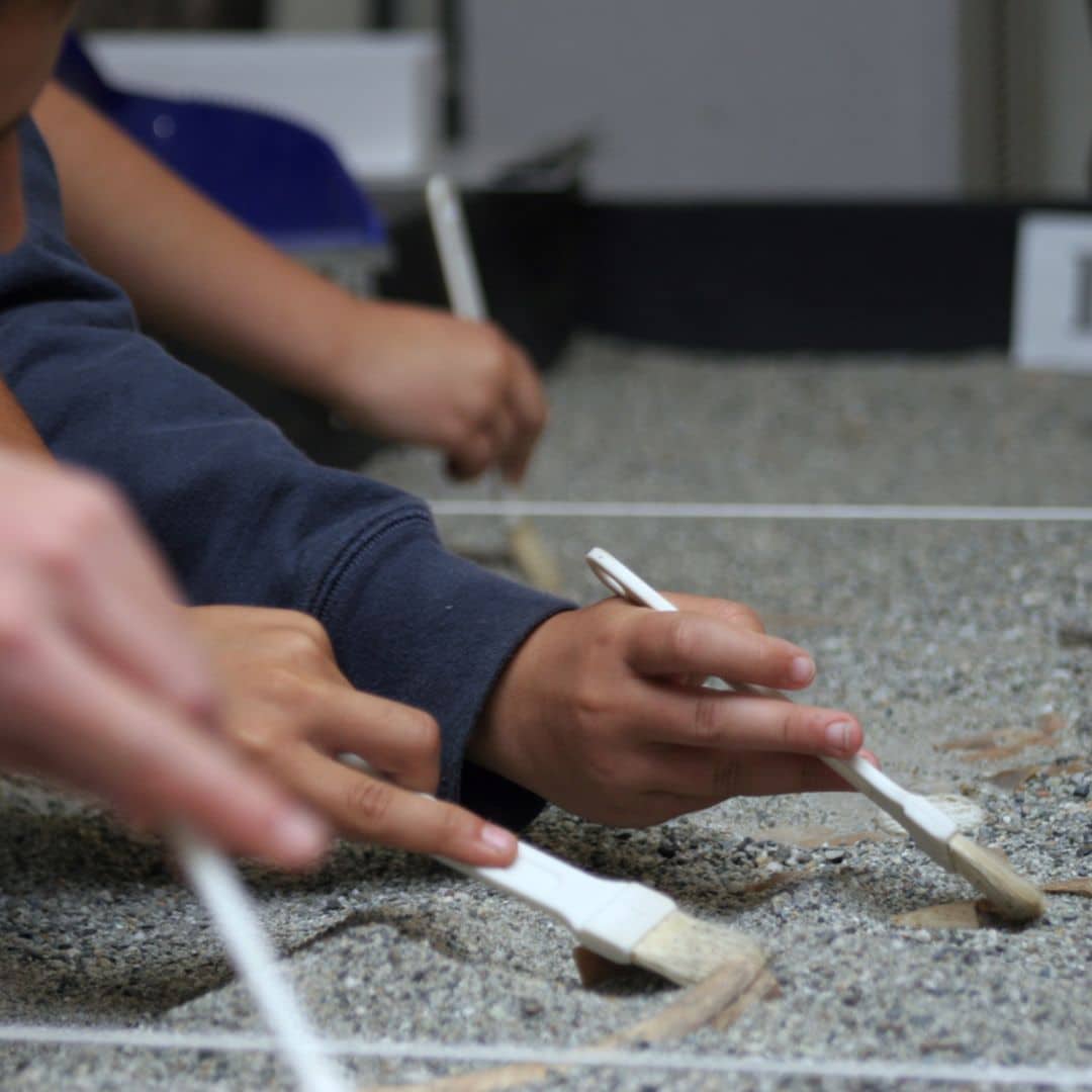 Offre école : l'archéologie à portée de main
